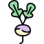 Radish icon 64x64
