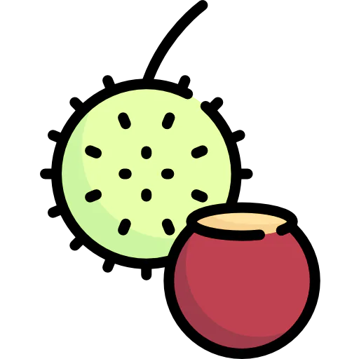 Chestnut icon
