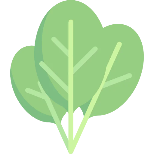 Spinach icon