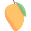 Mango icon 64x64