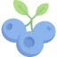 Blueberry icon 64x64