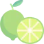 Lime icon 64x64