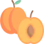 Apricot icon 64x64