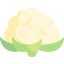 Cauliflower アイコン 64x64