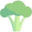Broccoli icon 64x64