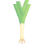 Leek icon 64x64