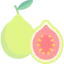 Guava icon 64x64
