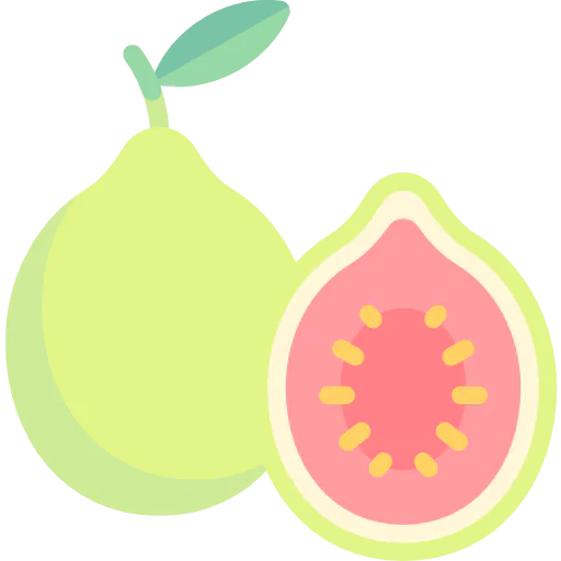 Guava icon