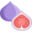 Fig icon 64x64