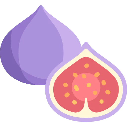 Fig icon