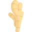 Ginger icon 64x64