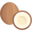 Coconut icon 64x64