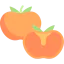 Persimmon 상 64x64