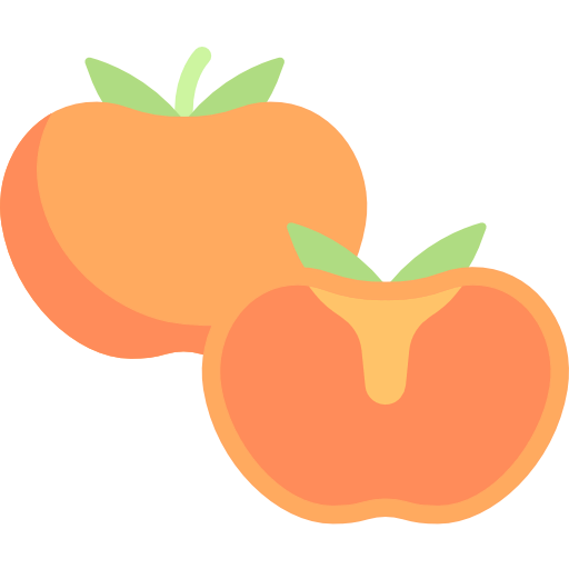 Persimmon icon