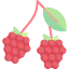 Raspberry 상 64x64