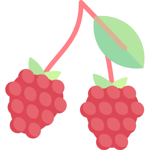 Raspberry icon