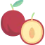 Plum icon 64x64