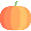 Pumpkin icon 64x64