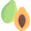 Papaya icon 64x64