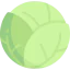Cabbage Ikona 64x64