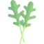 Arugula icon 64x64