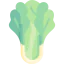 Lettuce icon 64x64