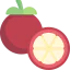 Mangosteen icon 64x64