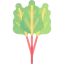 Rhubarb icon 64x64
