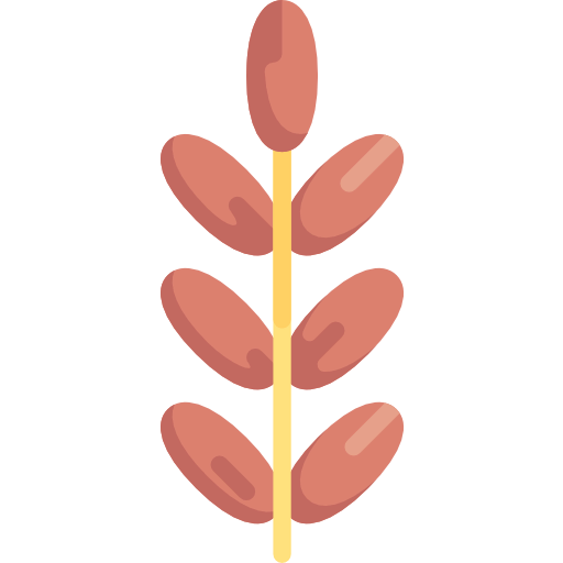 Date icon