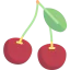 Cherry icon 64x64
