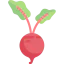 Beet icon 64x64