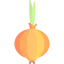 Garlic icon 64x64