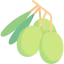 Olives icon 64x64