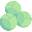 Brussels sprouts icon 64x64