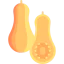 Squash icon 64x64