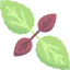 Basil アイコン 64x64