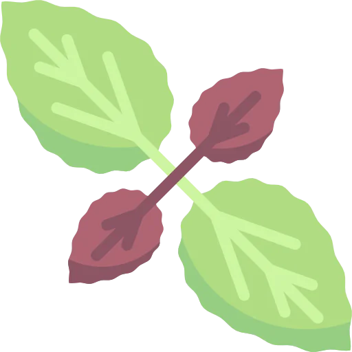 Basil Symbol