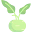 Kohlrabi icon 64x64