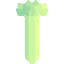Celery icon 64x64