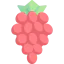 Grapes icon 64x64