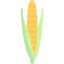 Corn icon 64x64