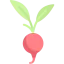 Radish icon 64x64
