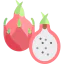 Passion fruit アイコン 64x64