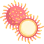 Rambutan icon 64x64
