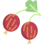 Gooseberry icon 64x64