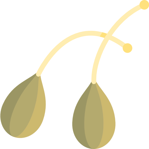 Caper icon