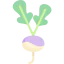 Radish icon 64x64