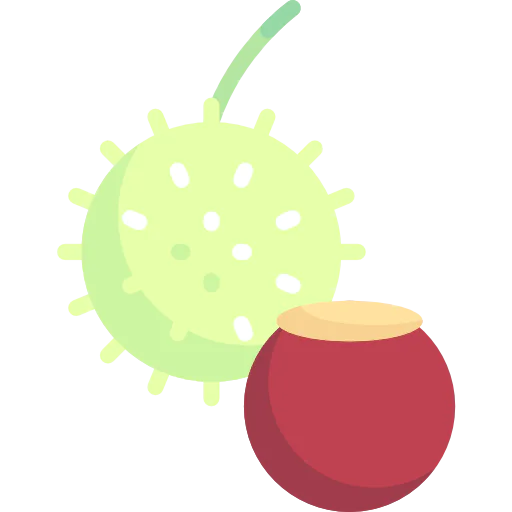 Chestnut icon