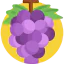 Grapes icon 64x64