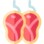 Meat icon 64x64